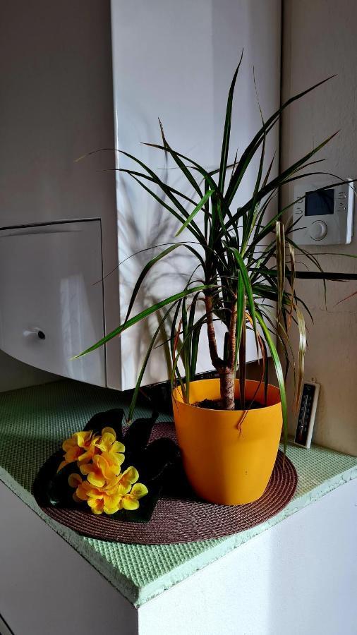 Apartement *Harzblick* Nordhausen Esterno foto